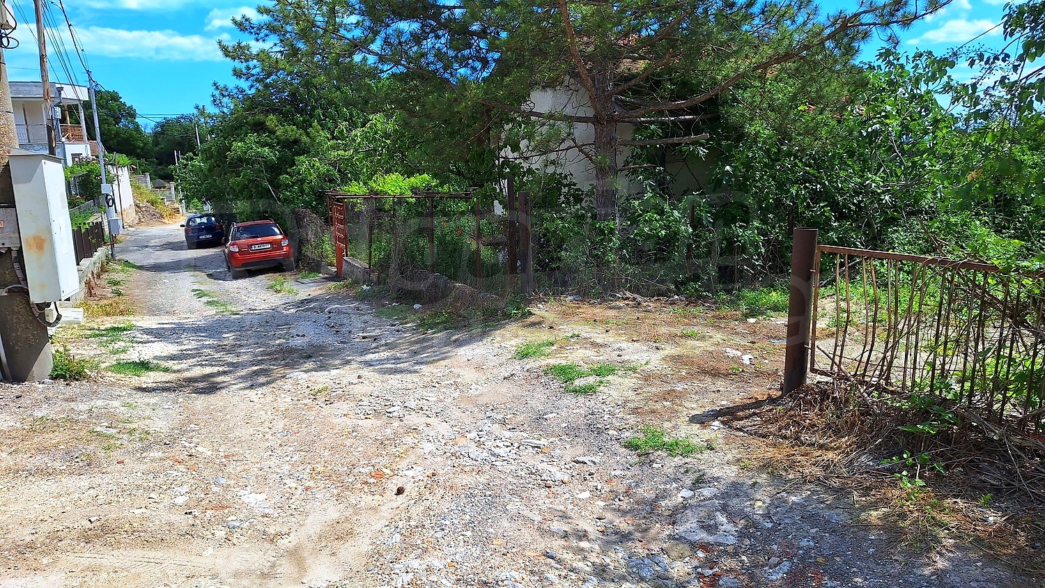 Gallery Picture 5