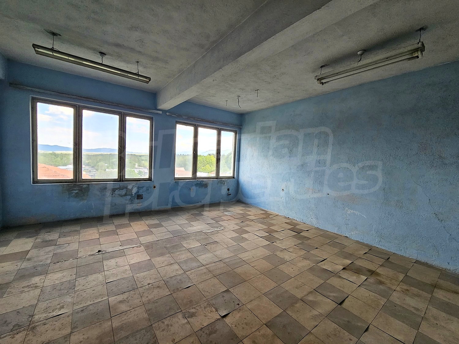 Gallery Picture 19