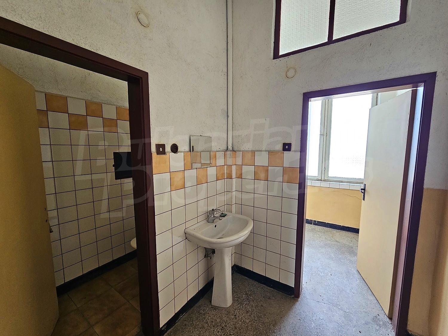 Gallery Picture 17