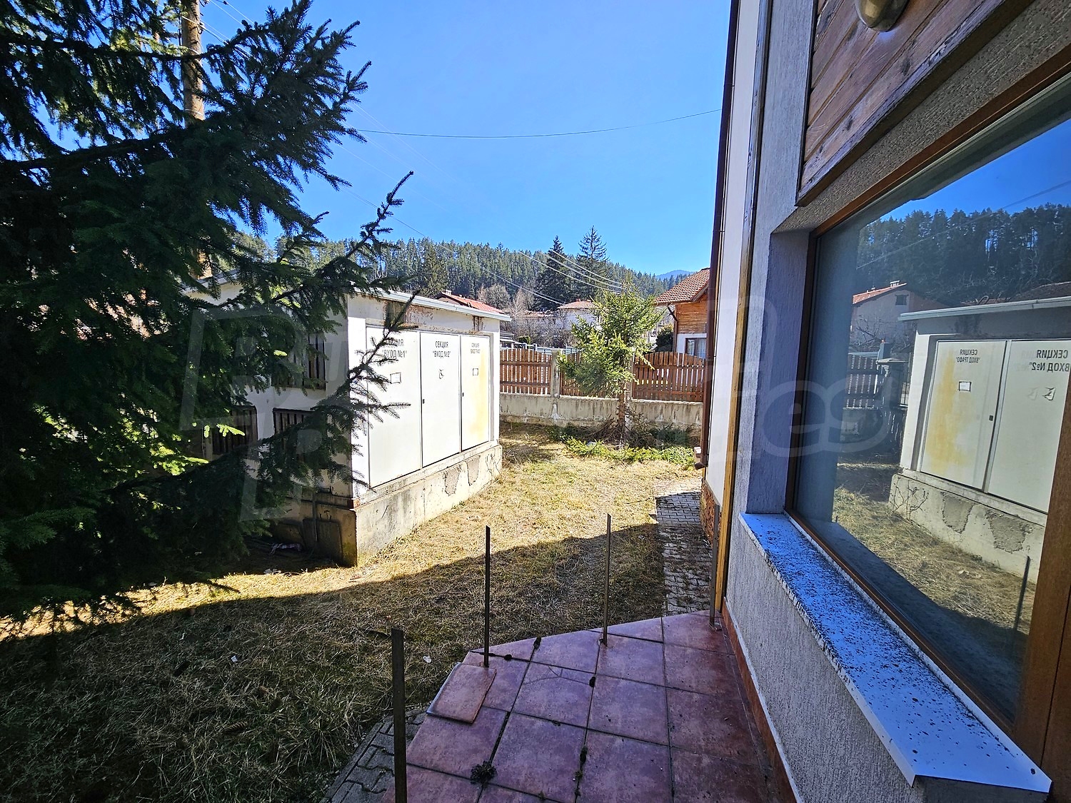 Gallery Picture 19