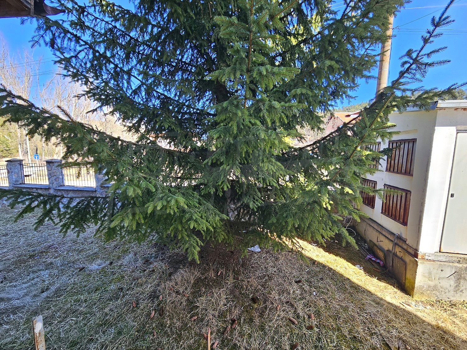 Gallery Picture 18