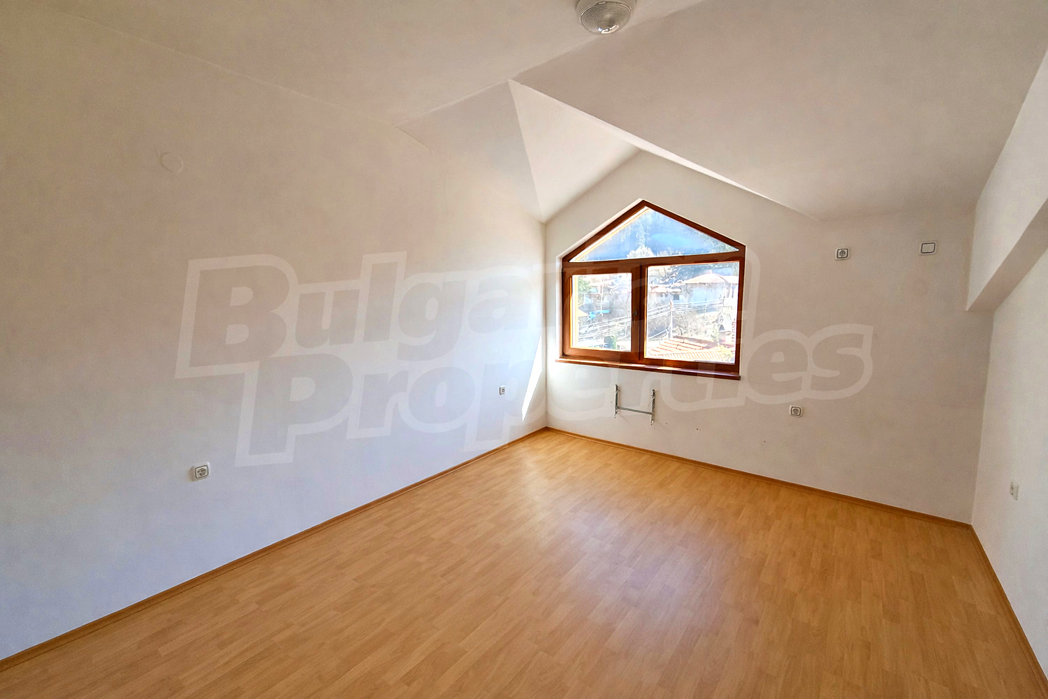Gallery Picture 3