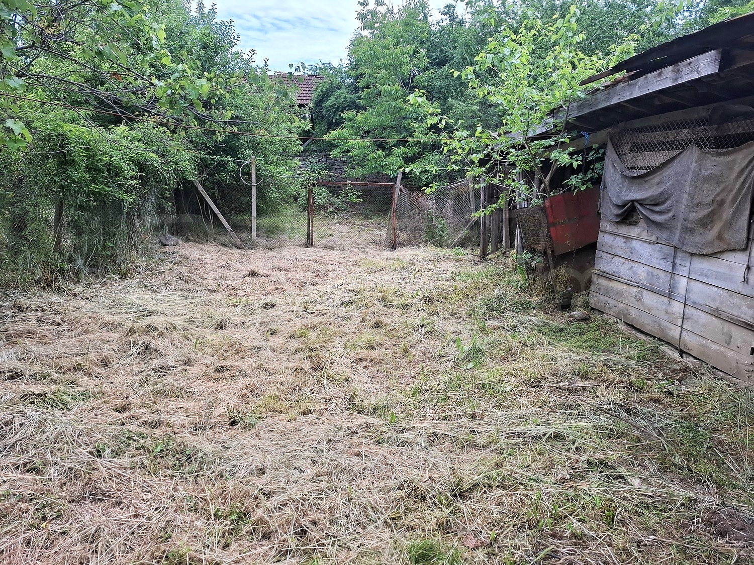 Gallery Picture 19