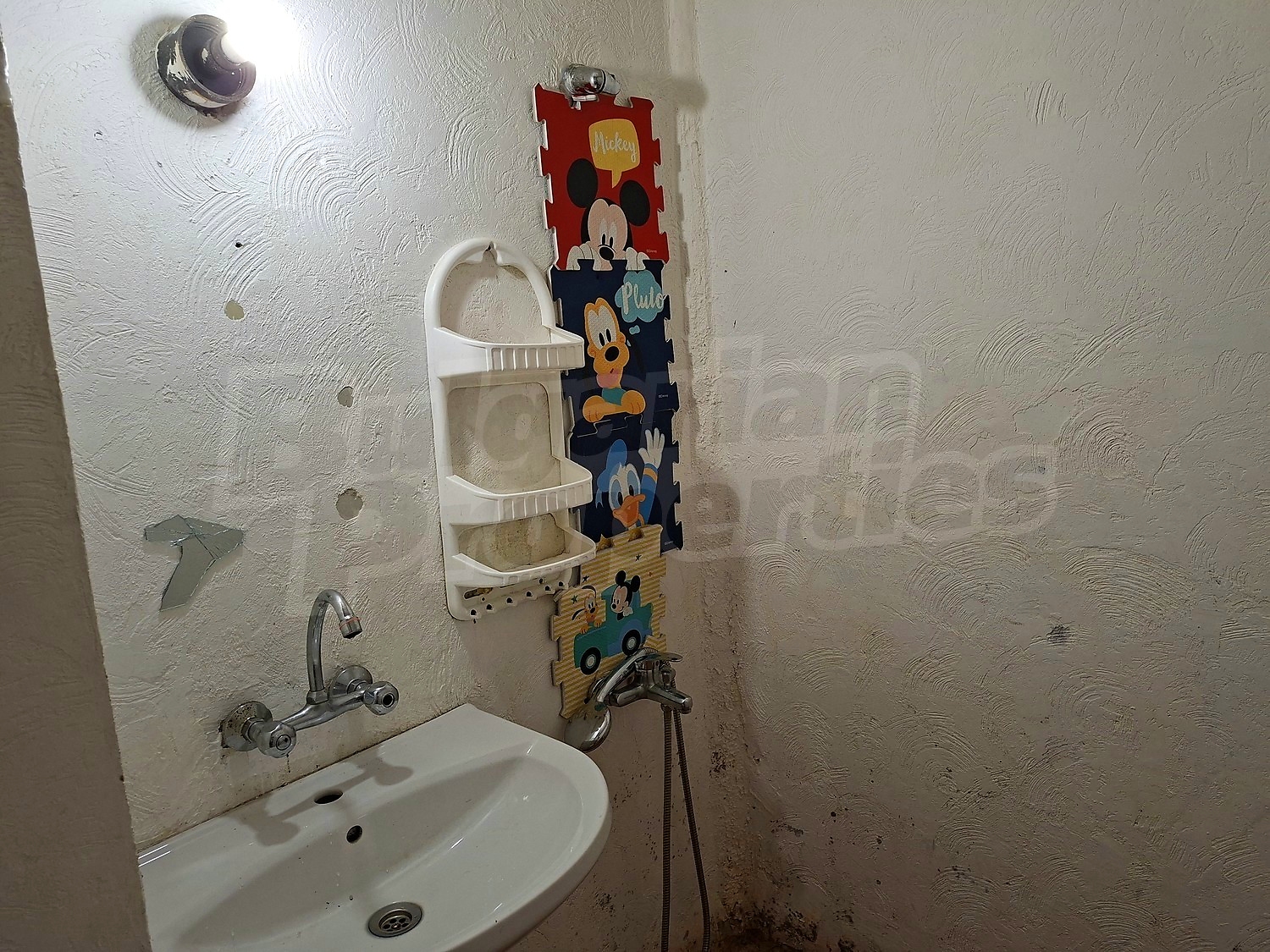 Gallery Picture 14
