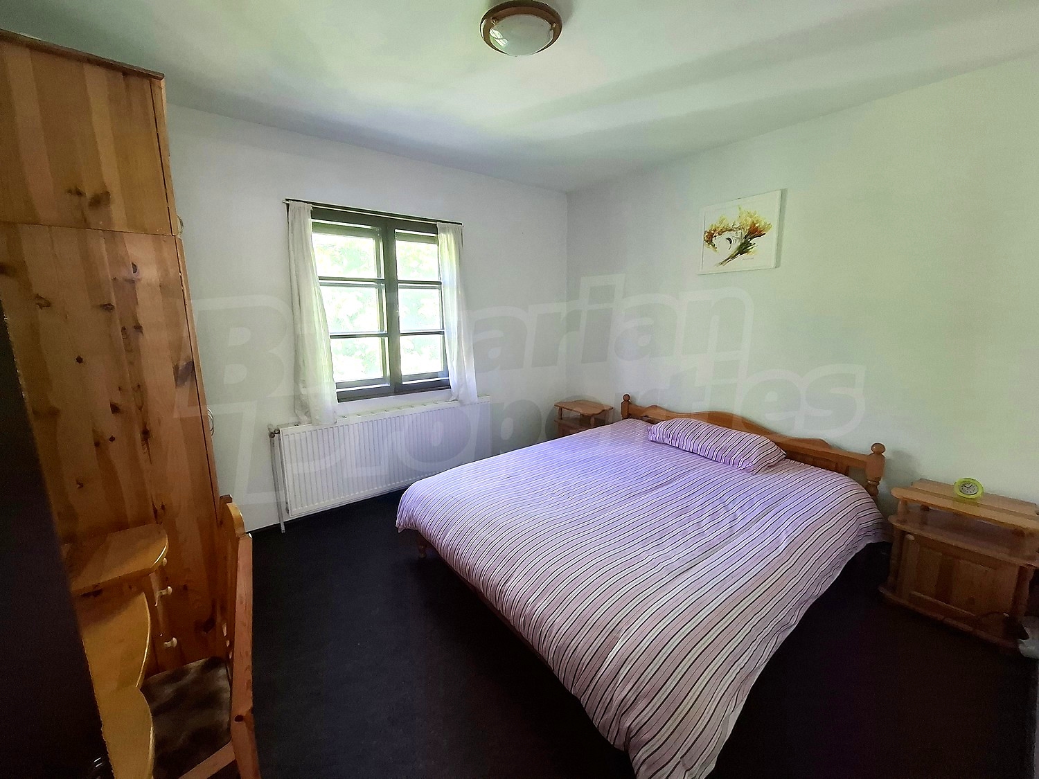 Gallery Picture 19