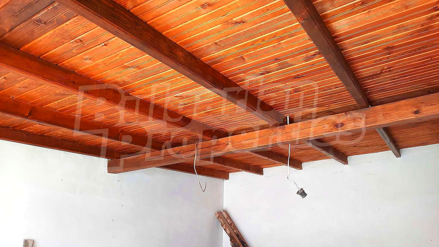 Gallery Picture 39