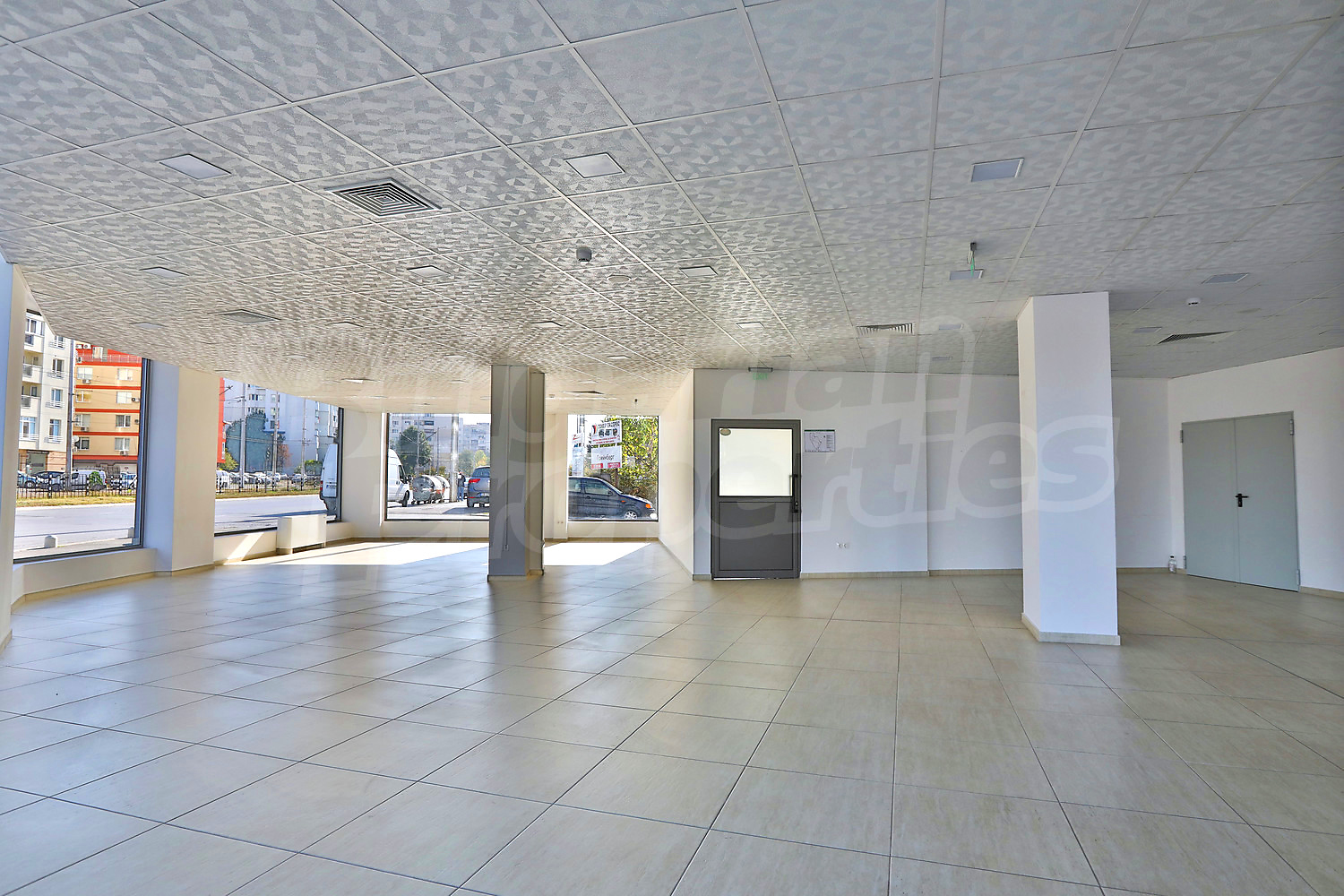 Gallery Picture 46