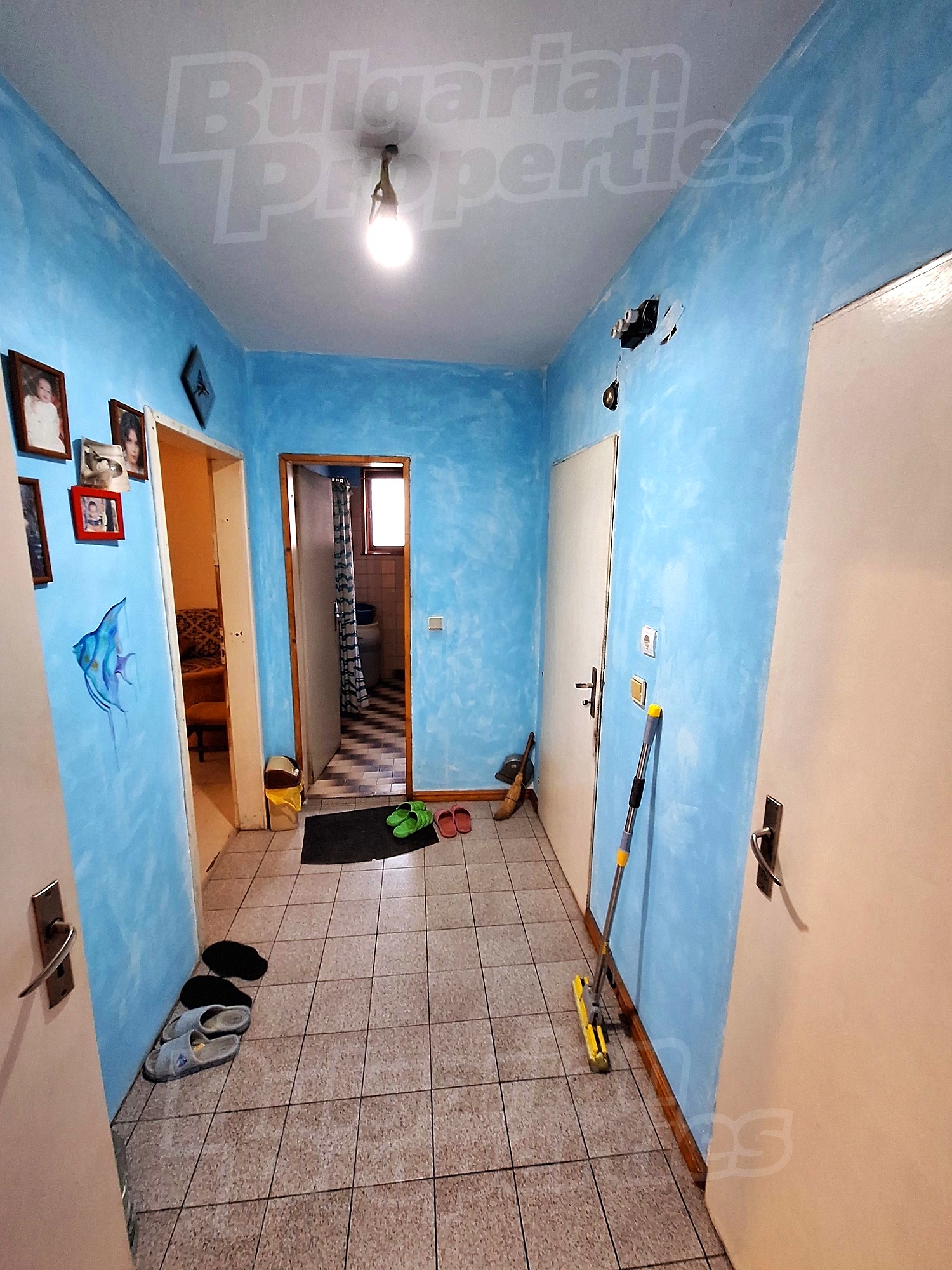Gallery Picture 12