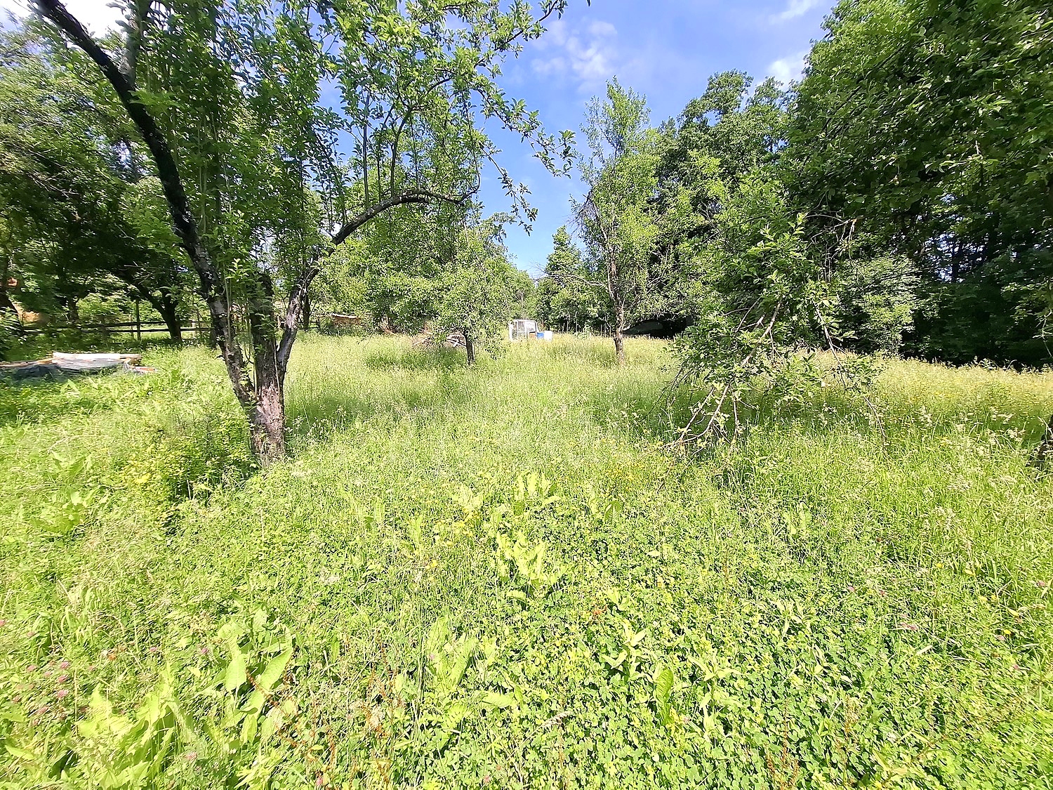 Gallery Picture 29