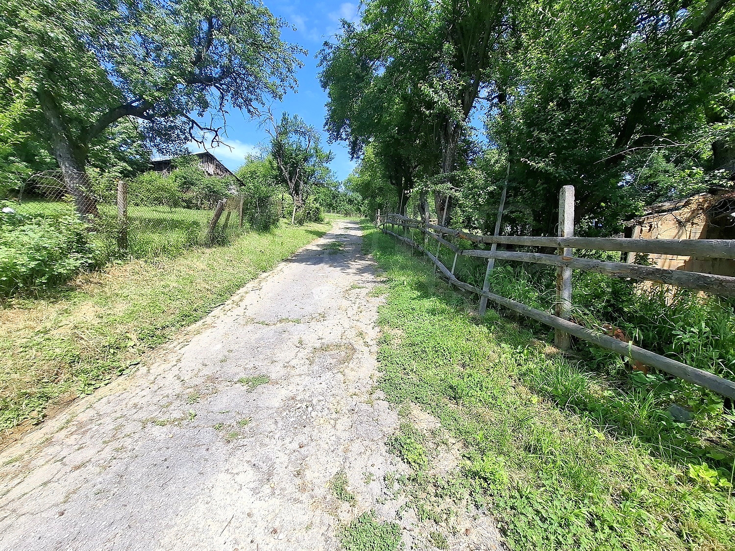 Gallery Picture 34