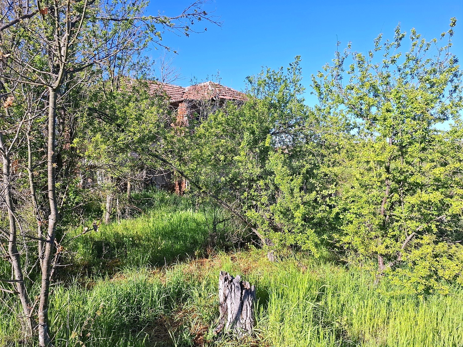 Gallery Picture 7