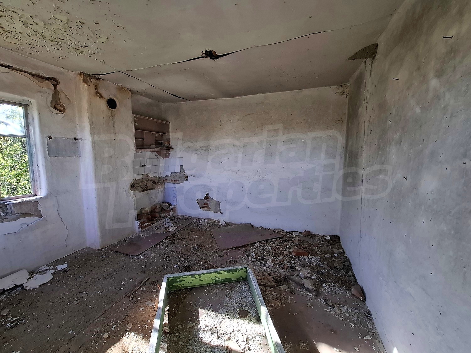 Gallery Picture 10