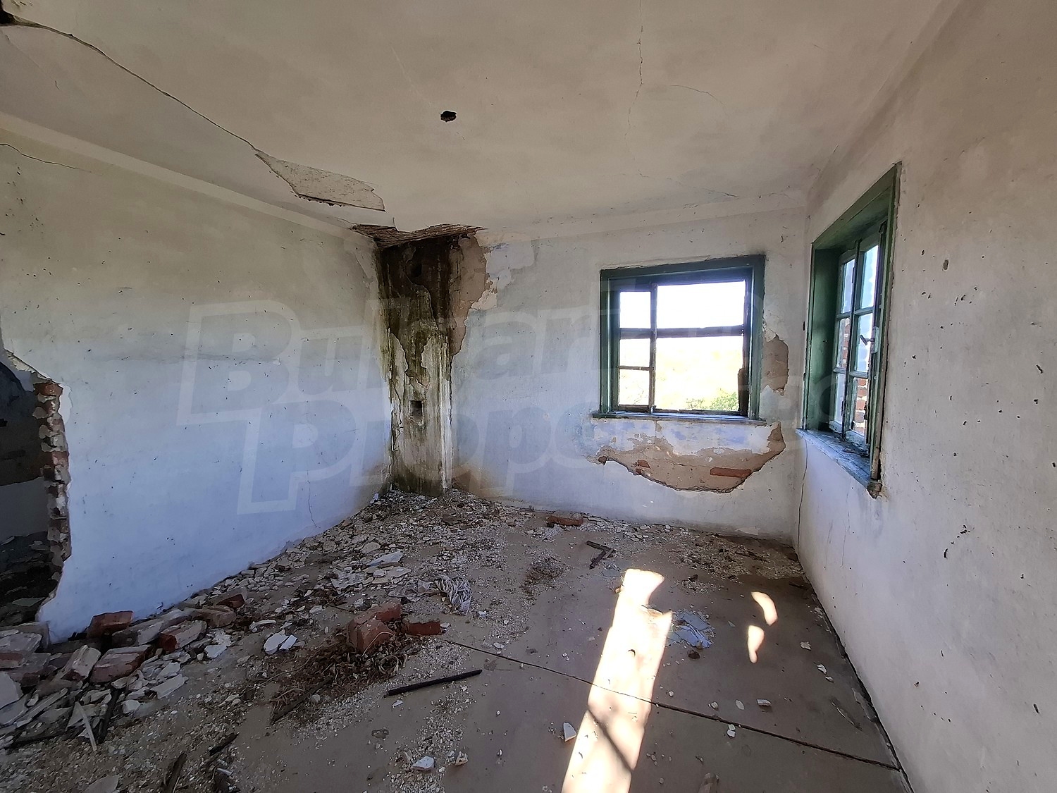 Gallery Picture 12