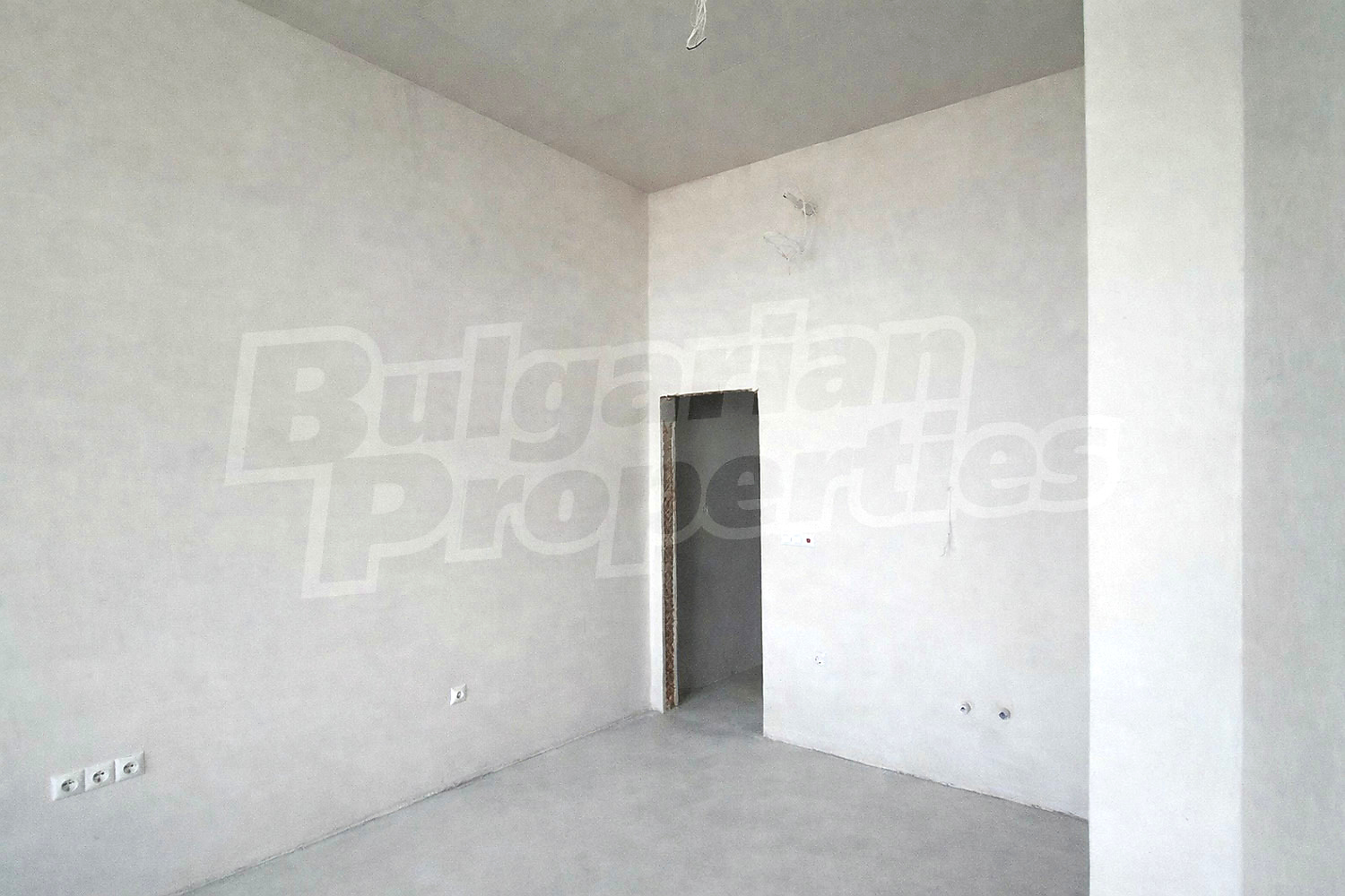 Gallery Picture 8
