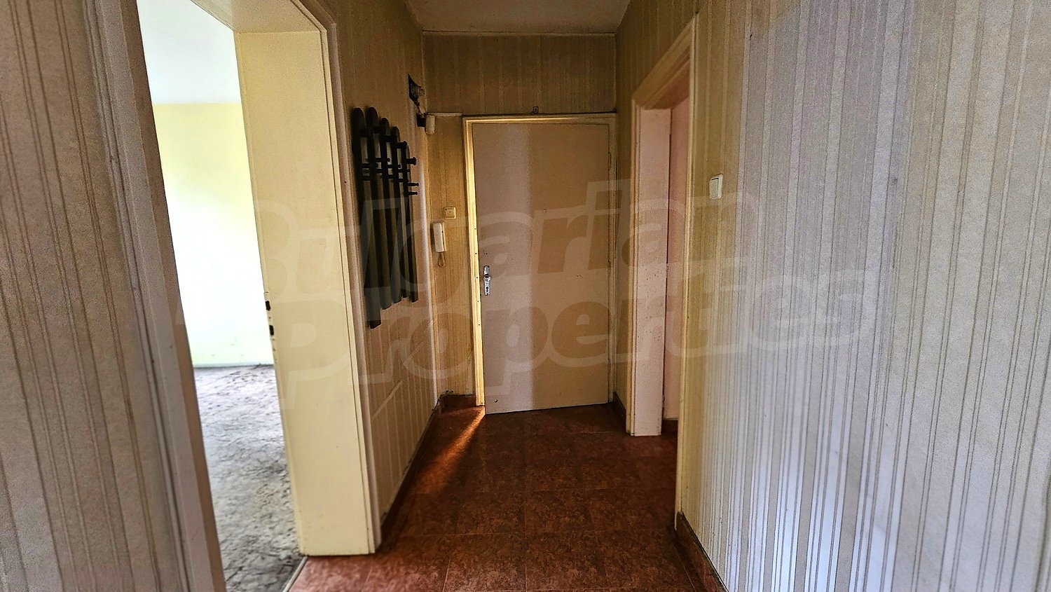 Gallery Picture 11