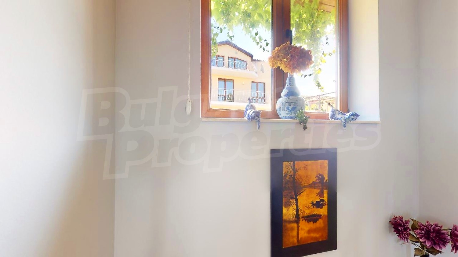 Gallery Picture 17