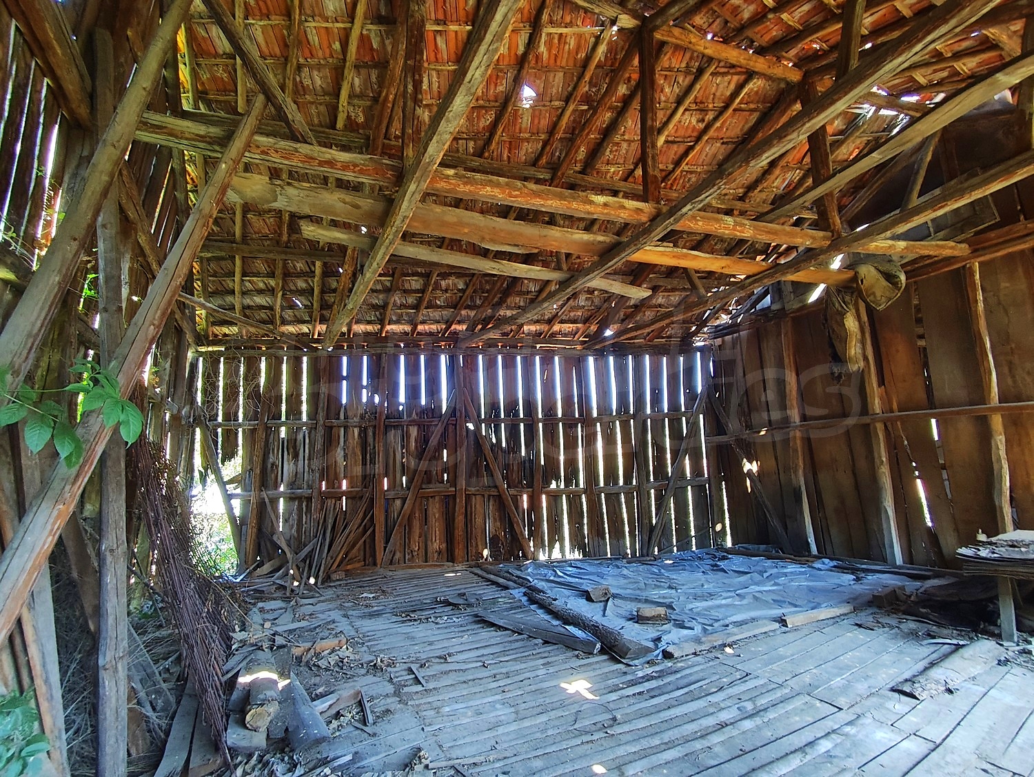 Gallery Picture 33