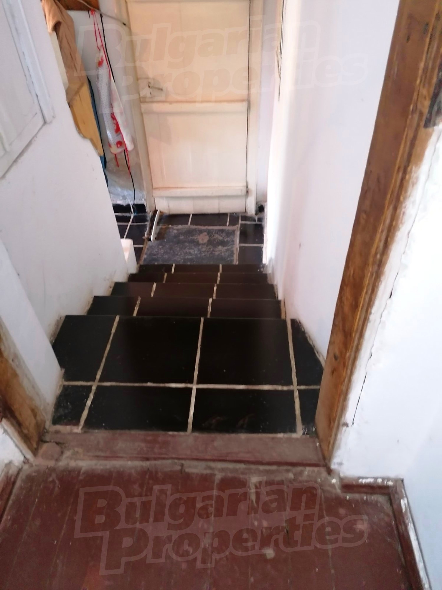 Gallery Picture 19
