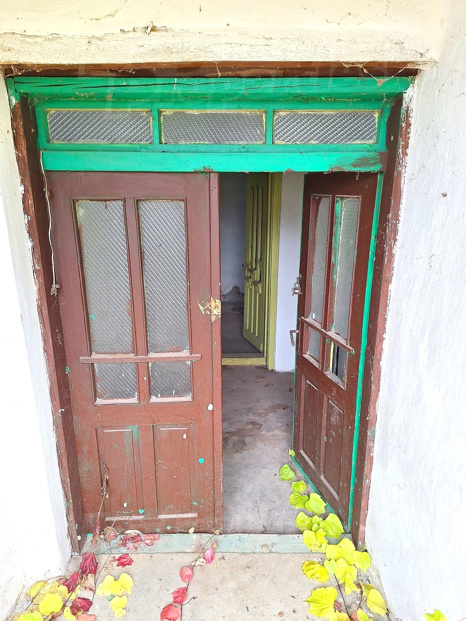Gallery Picture 12