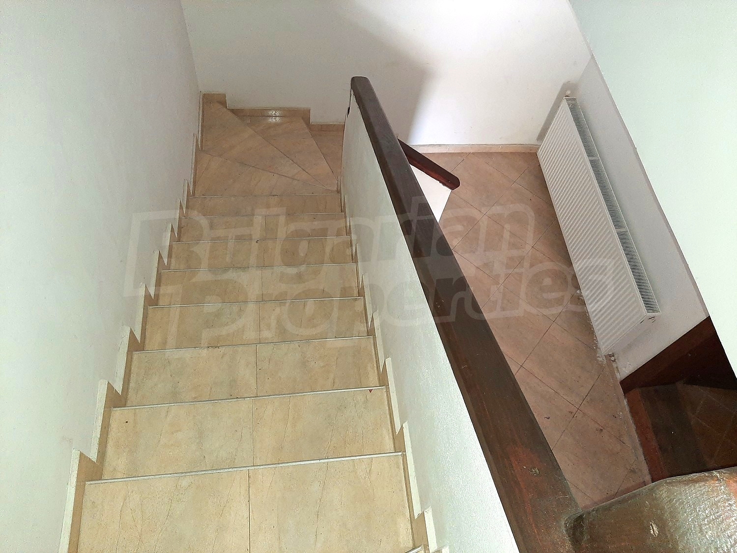 Gallery Picture 11
