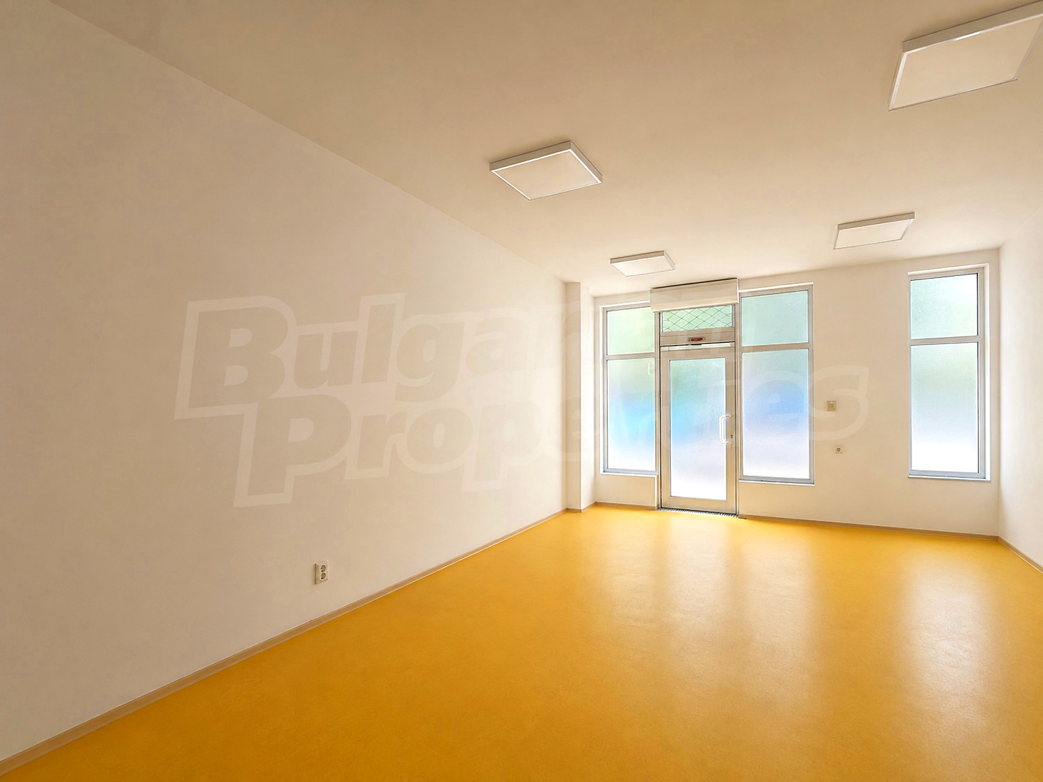 Gallery Picture 2
