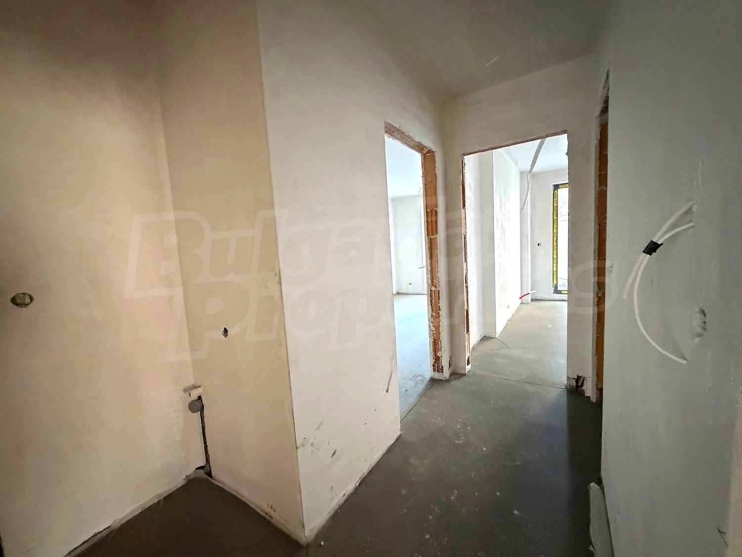 Gallery Picture 43