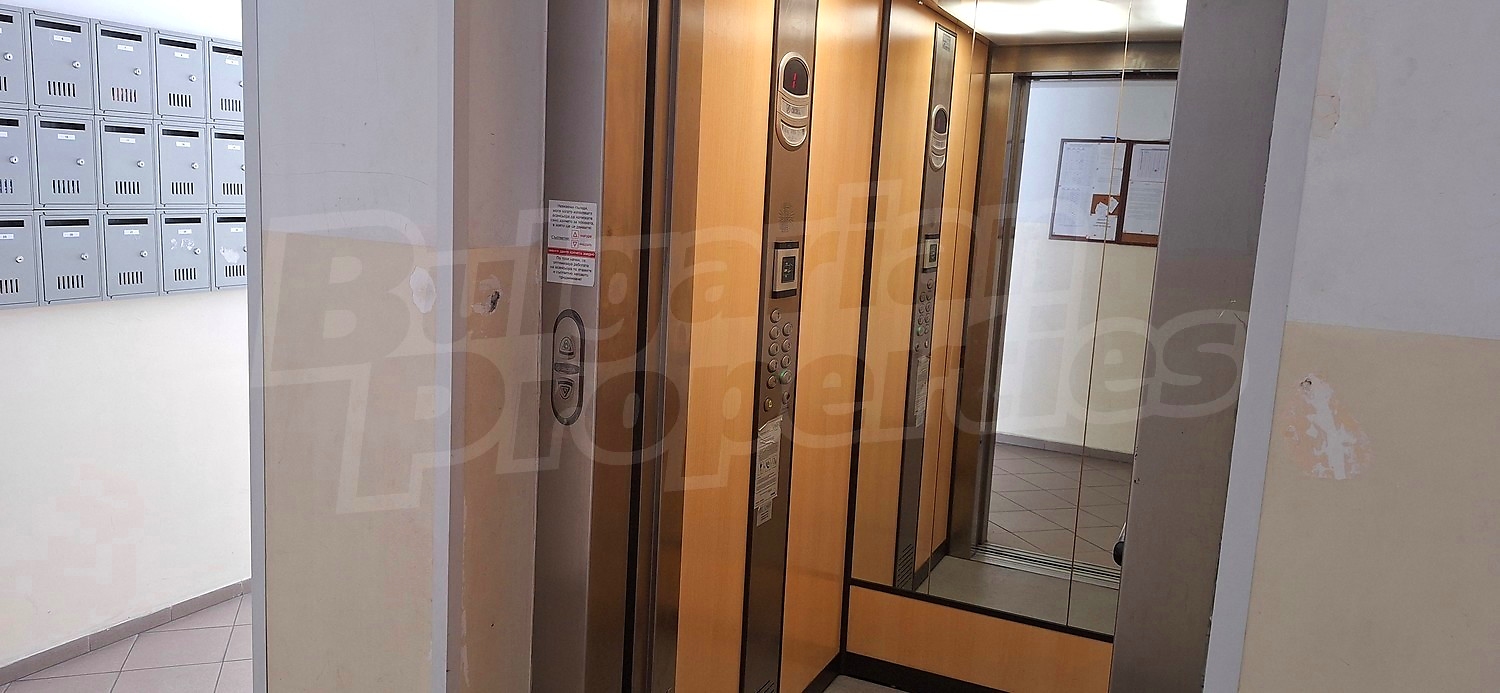 Gallery Picture 15