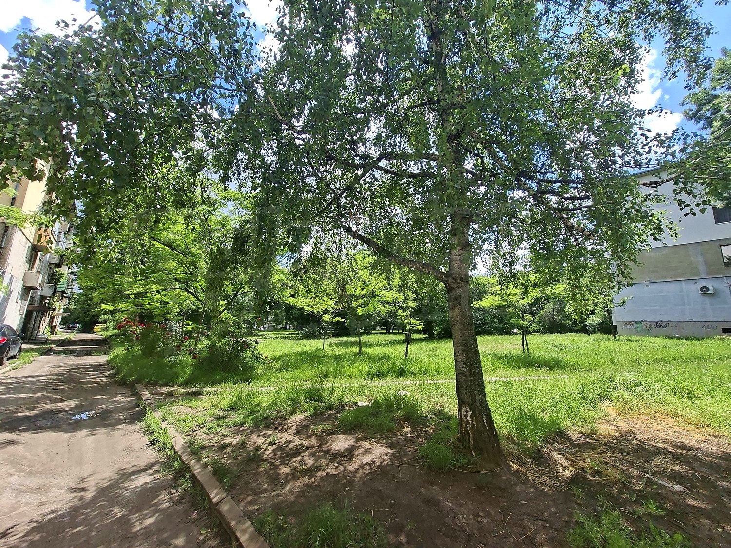 Gallery Picture 22