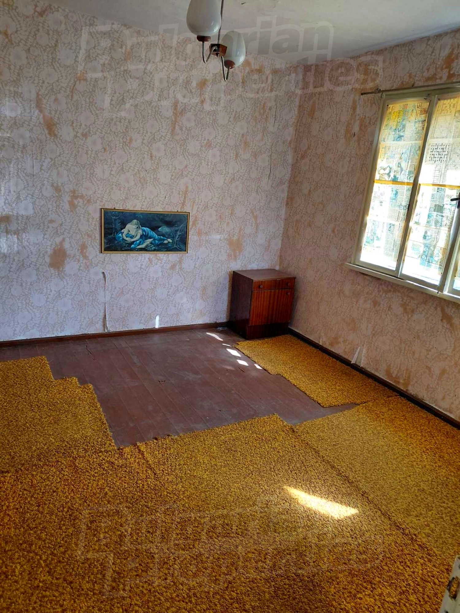 Gallery Picture 11