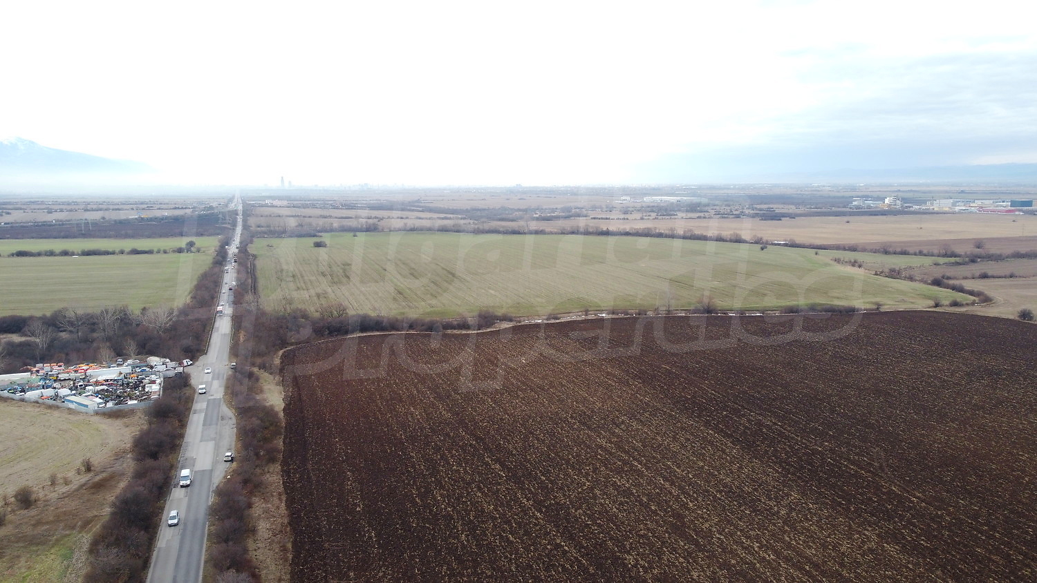 Gallery Picture 12