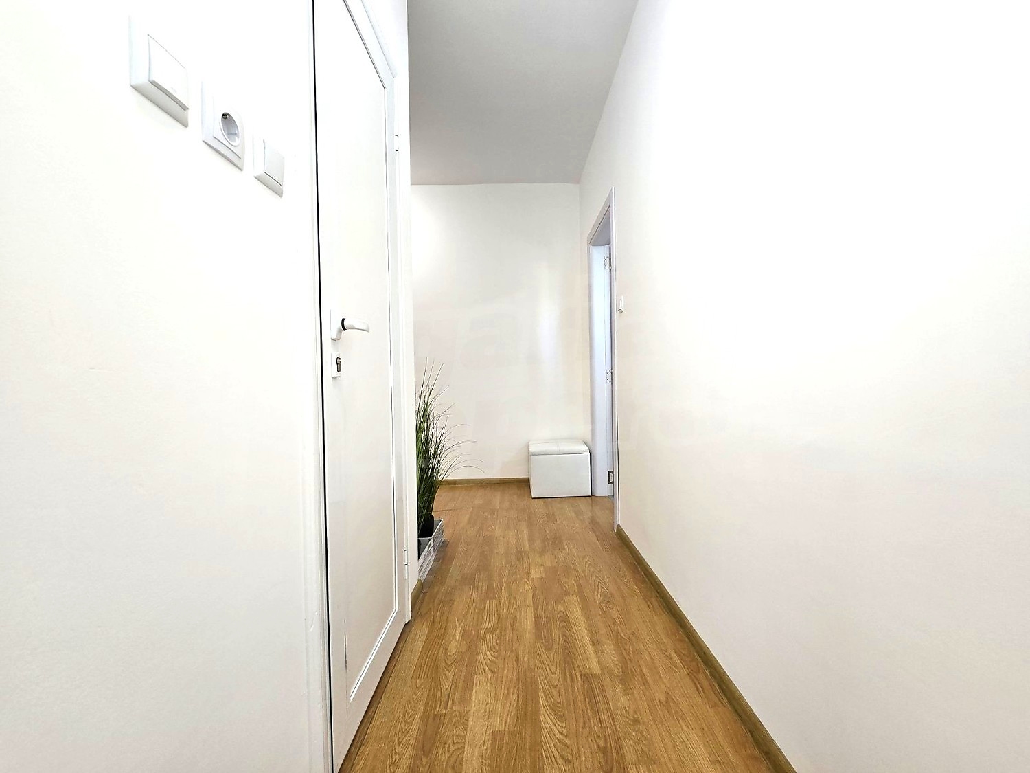 Gallery Picture 10