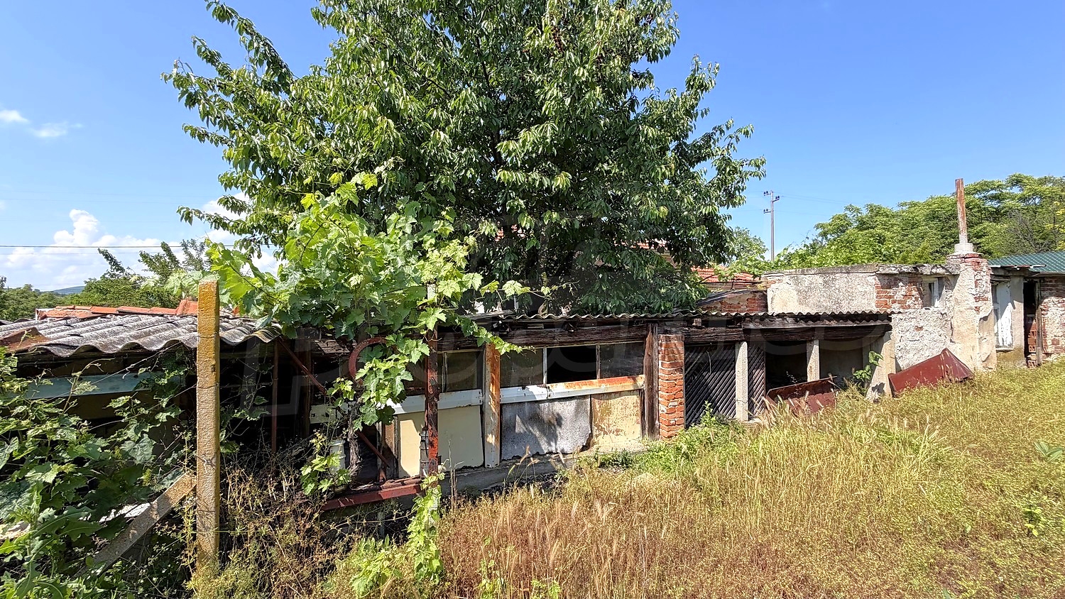 Gallery Picture 60