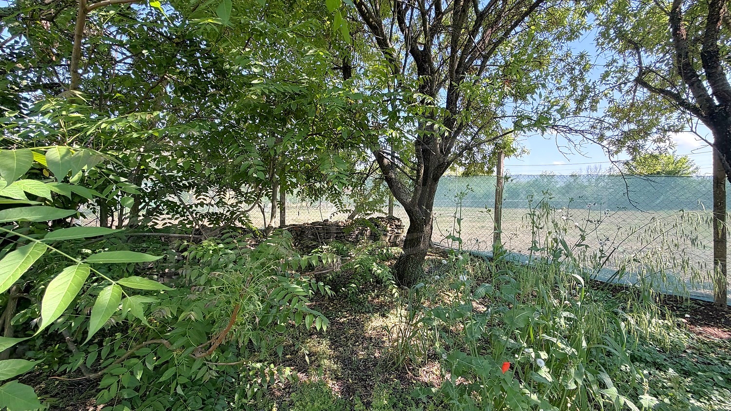 Gallery Picture 56
