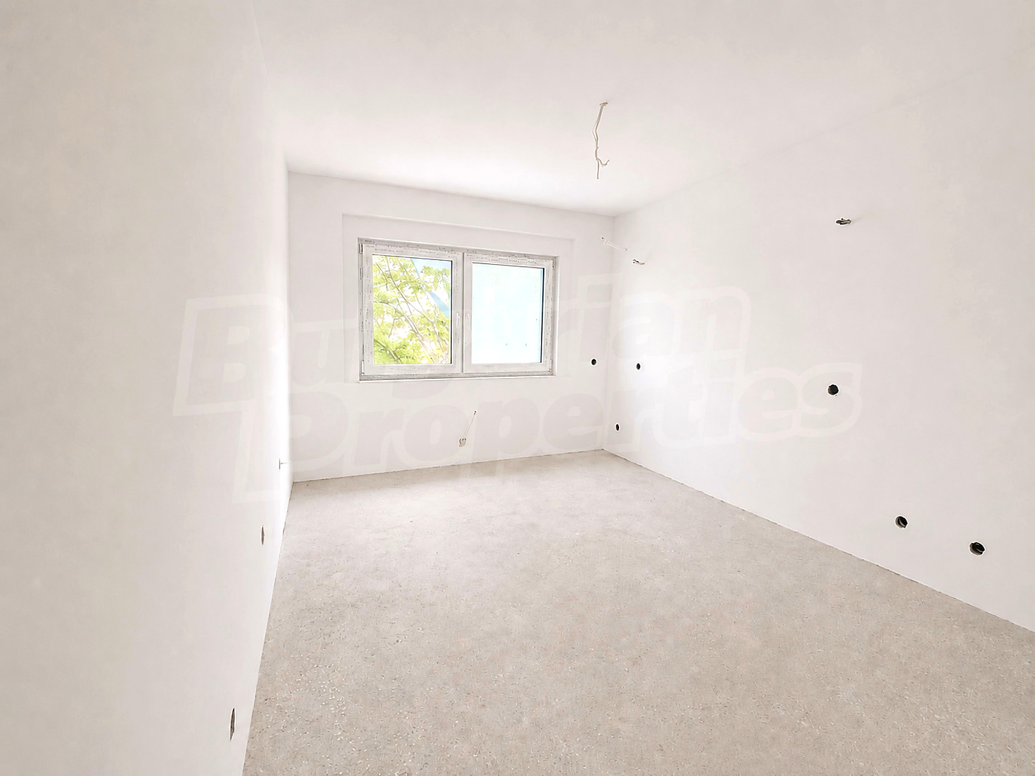 Gallery Picture 4