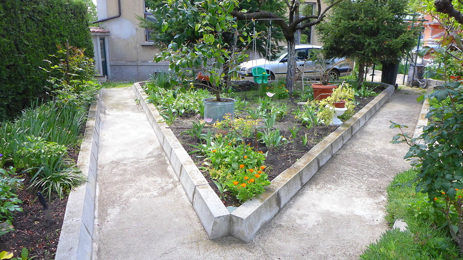 Gallery Picture 63