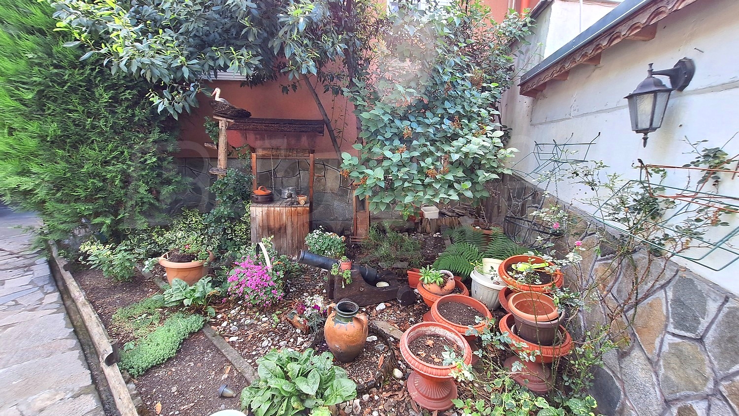 Gallery Picture 9