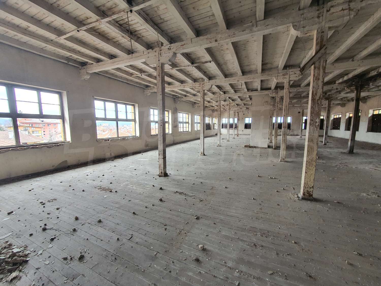 Gallery Picture 10