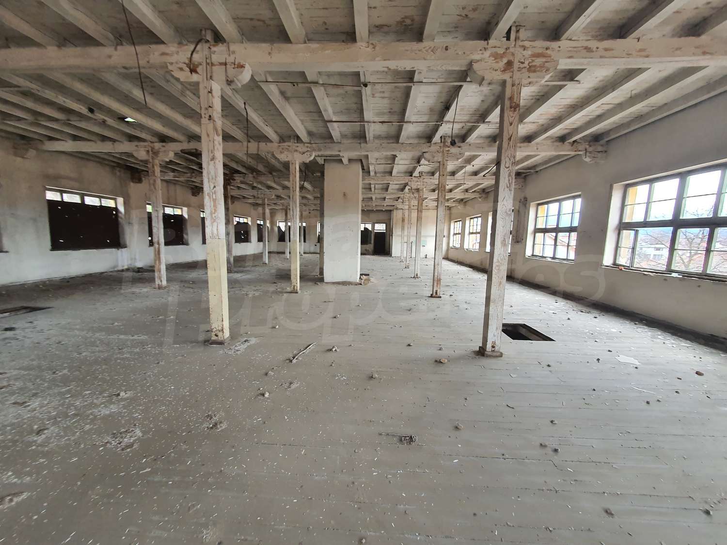Gallery Picture 15