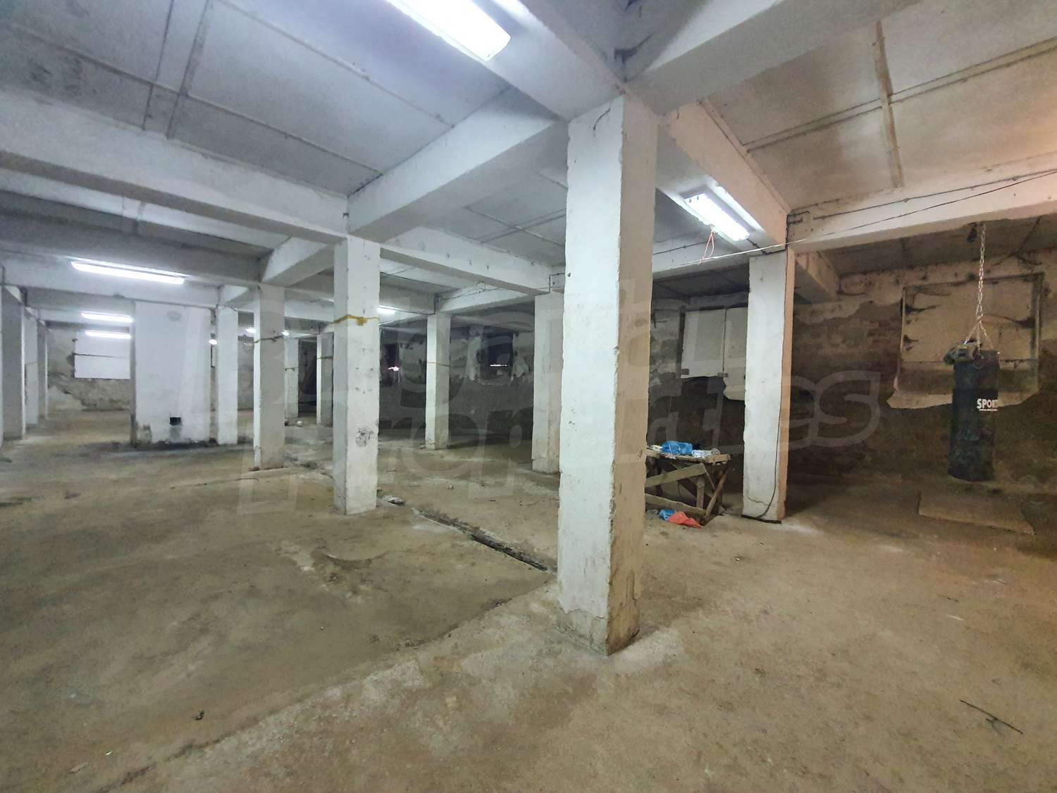 Gallery Picture 17