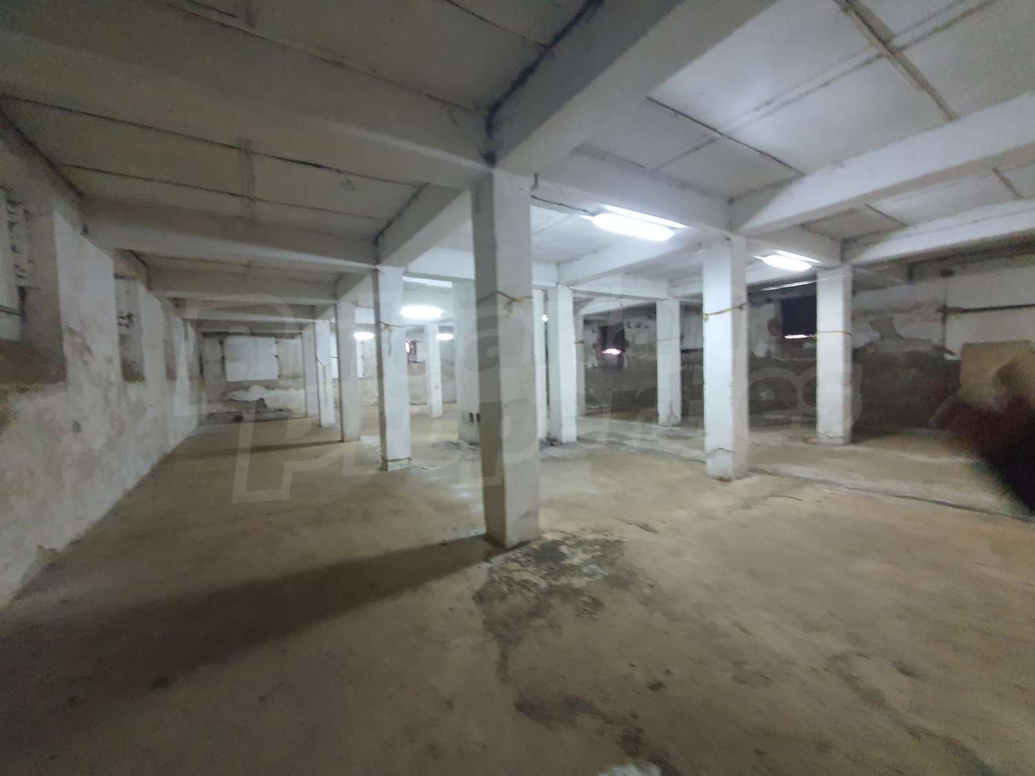 Gallery Picture 18