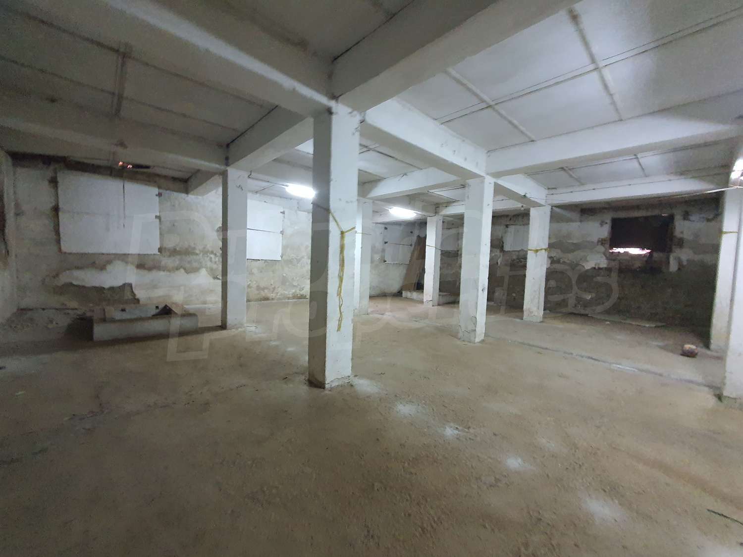 Gallery Picture 19