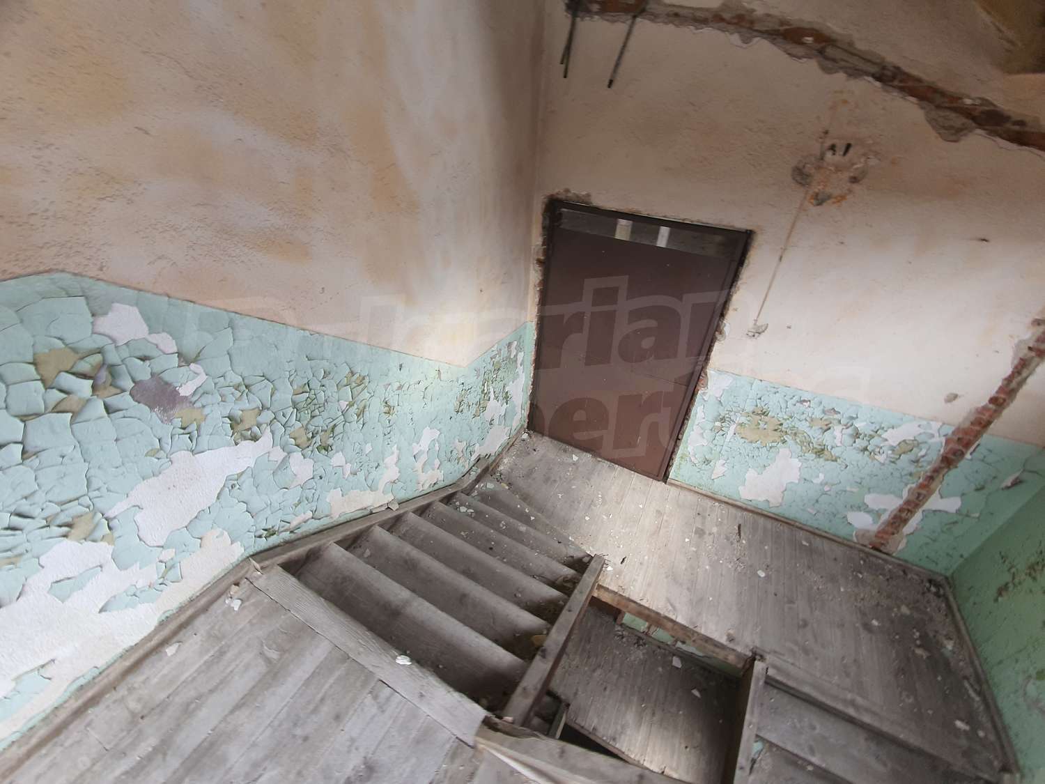 Gallery Picture 31