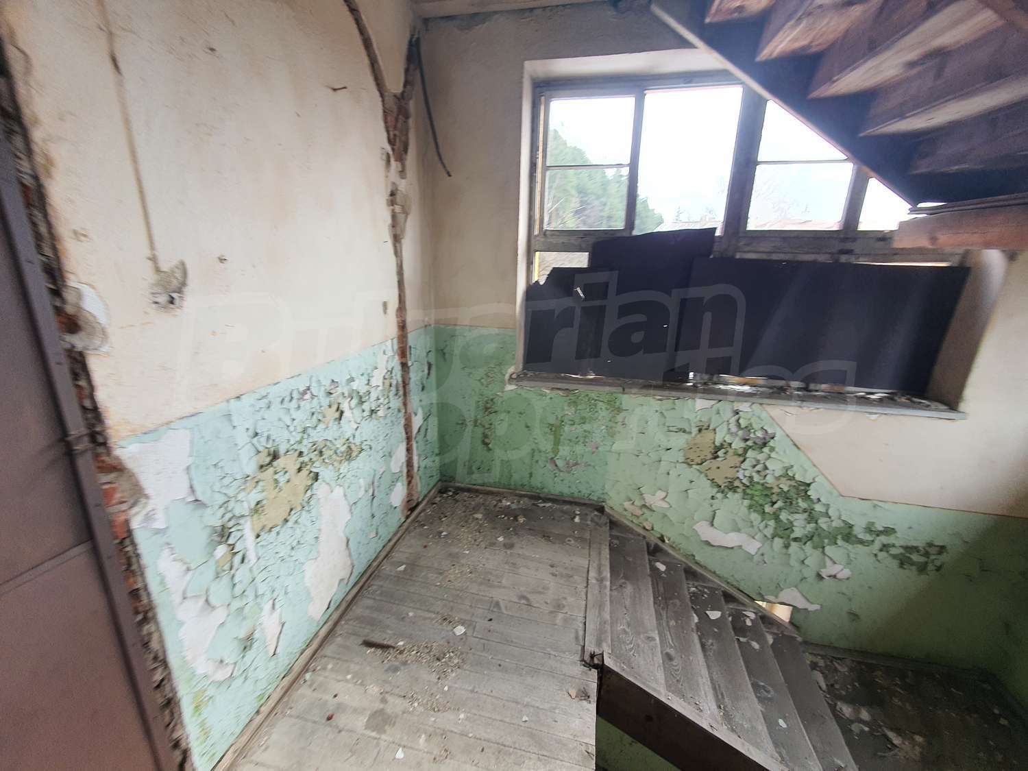 Gallery Picture 32