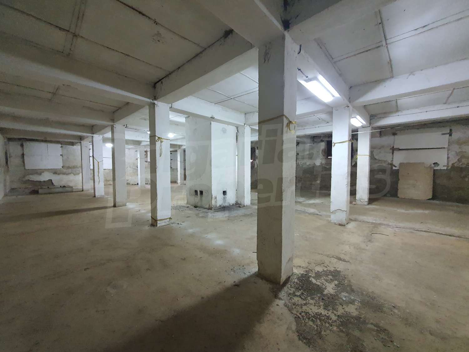 Gallery Picture 6