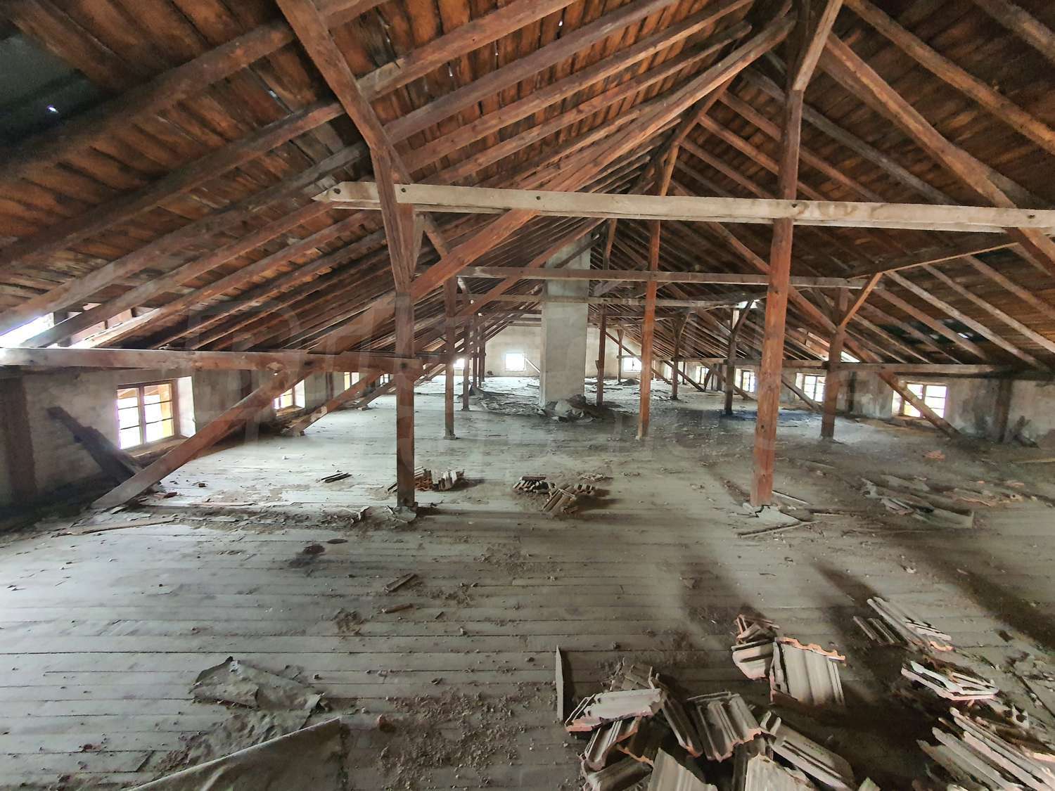 Gallery Picture 8