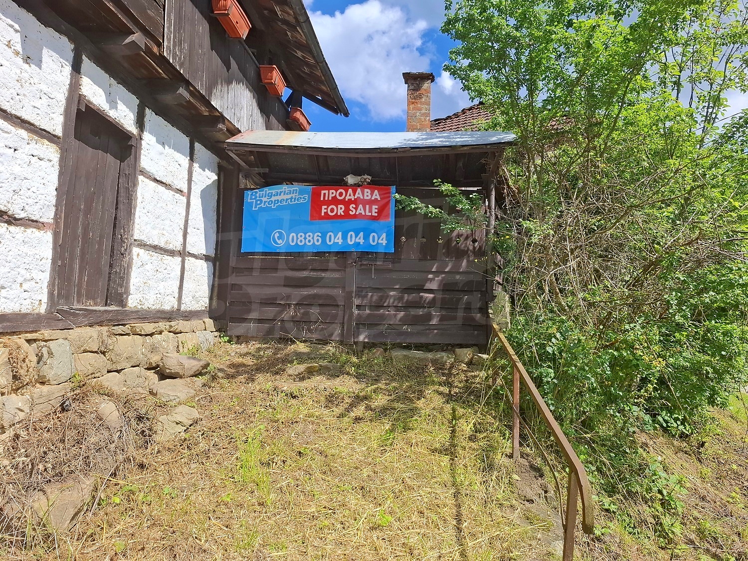 Gallery Picture 19