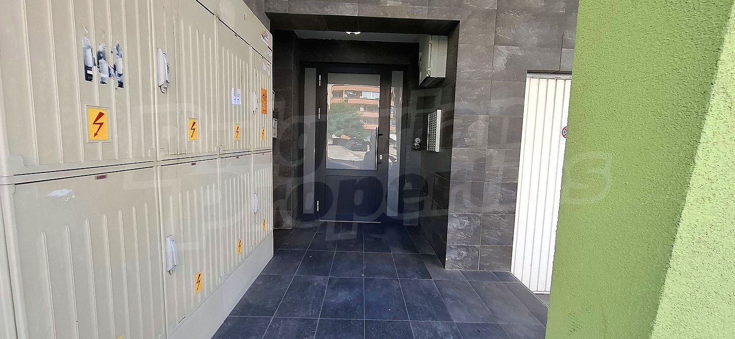 Gallery Picture 19