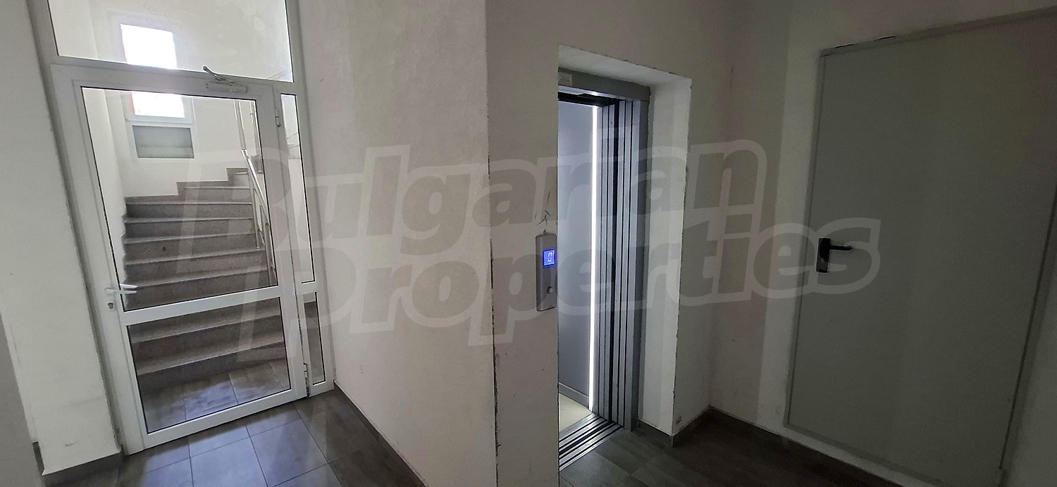 Gallery Picture 17