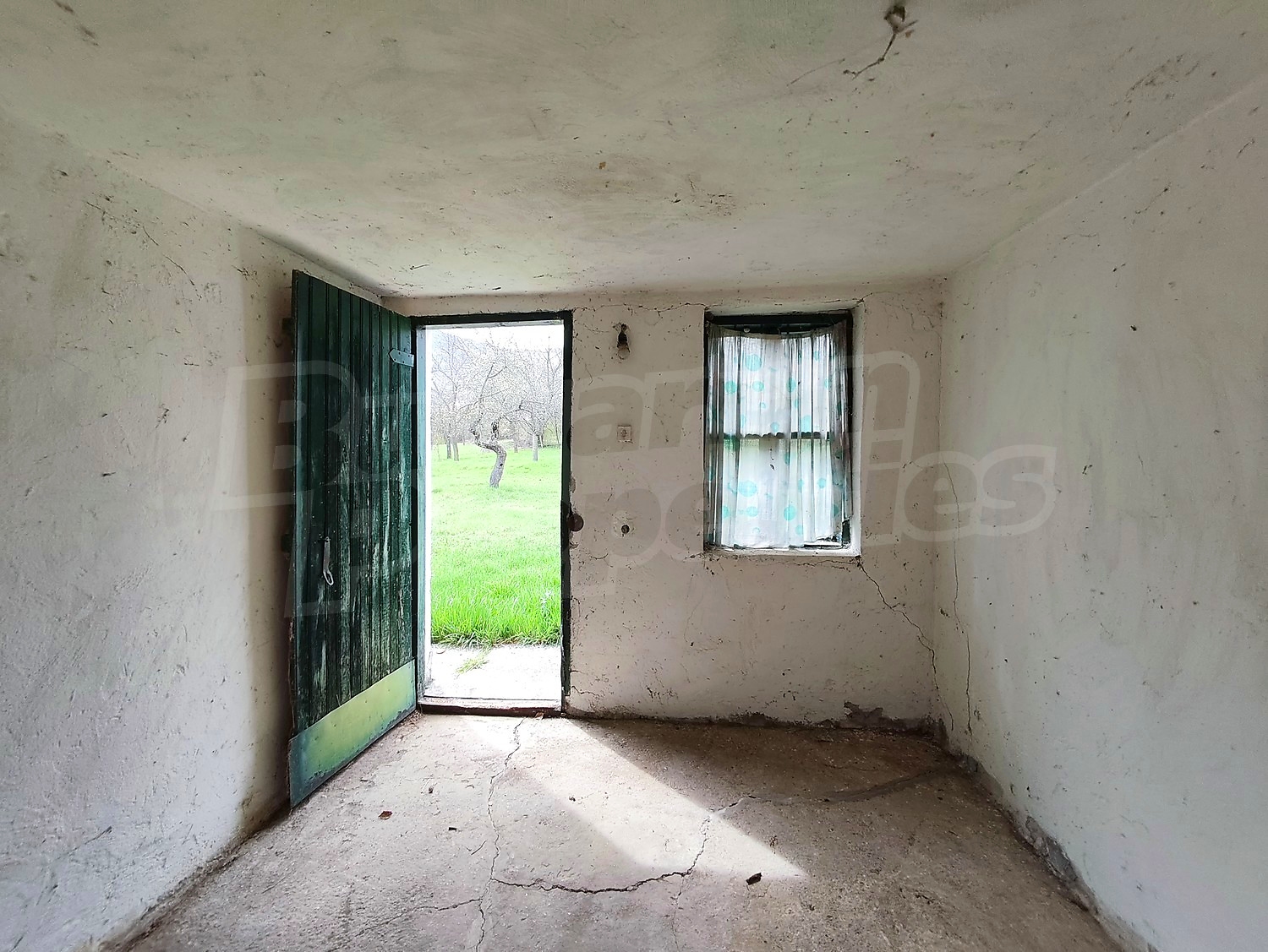 Gallery Picture 38