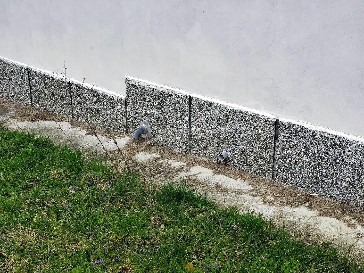 Gallery Picture 46